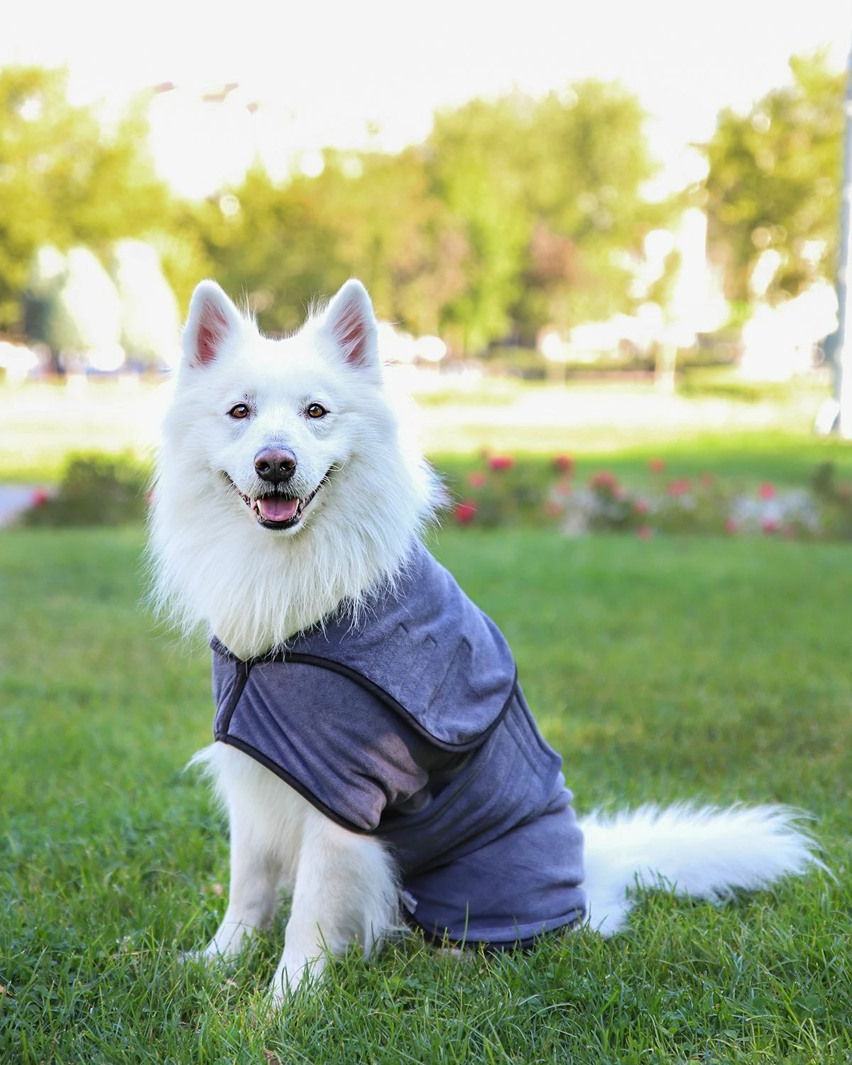 Kopalna halja za psa, siva, Paws & Whiskers Drygown, XS