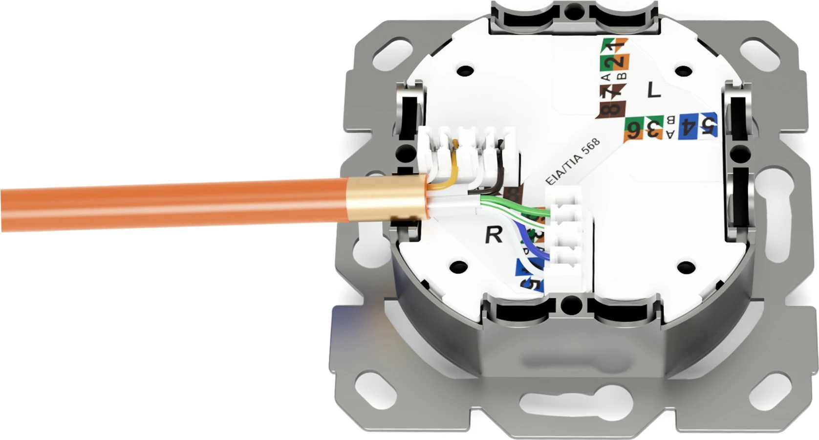 Priključek za omrežje CAT 6A, 1x RJ-45, bel – Digitus