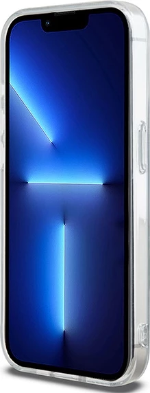 Ovitek DKNY IML Mono & Stripe MagSafe za iPhone 13 Pro Max, črn