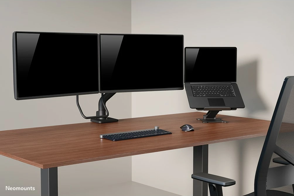 Kotični nosilec za monitor Neomounts DS75S-950BL2, s sponko/spremljevalnim prebojem, 8 kg, 17"-32", črn