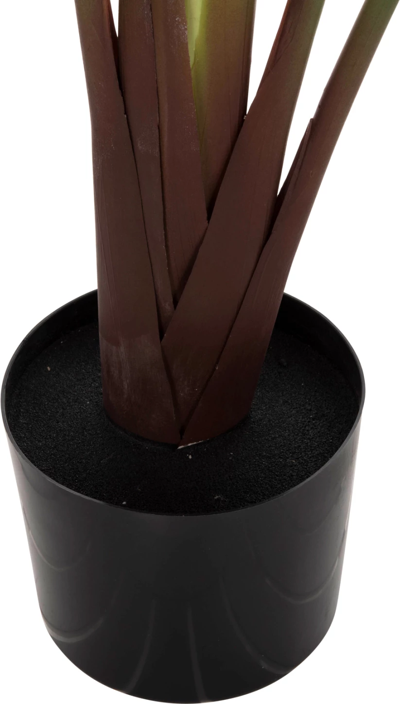 Dekorativna sintetična rastlina v loncu FH7981 Strelitziaceae Φ17x14,5-137Hcm