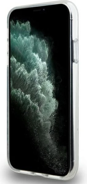 Zaščitni ovitek za iPhone 11/XR, DKNY IML Mono & Stripe MagSafe, roza