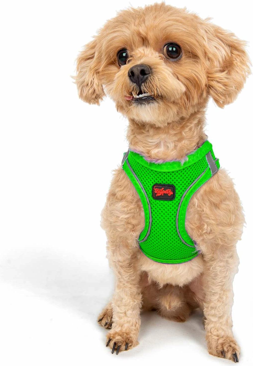 Oprsnica za psa Air-Mesh, Neo Green, Paws & Whiskers