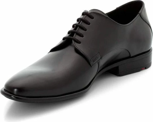 Elegantne moške čevlje Lloyd, črne