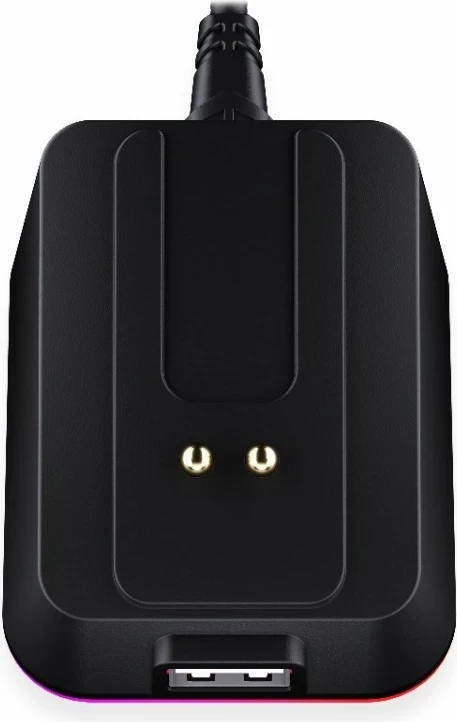 Polnilna postaja miške Endorfy Mouse Dock, RGB, USB-C, črna
