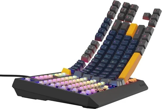 Mehanična tipkovnica Genesis Thor 230 TKL, RGB, Outemu Panda, mornarsko modra