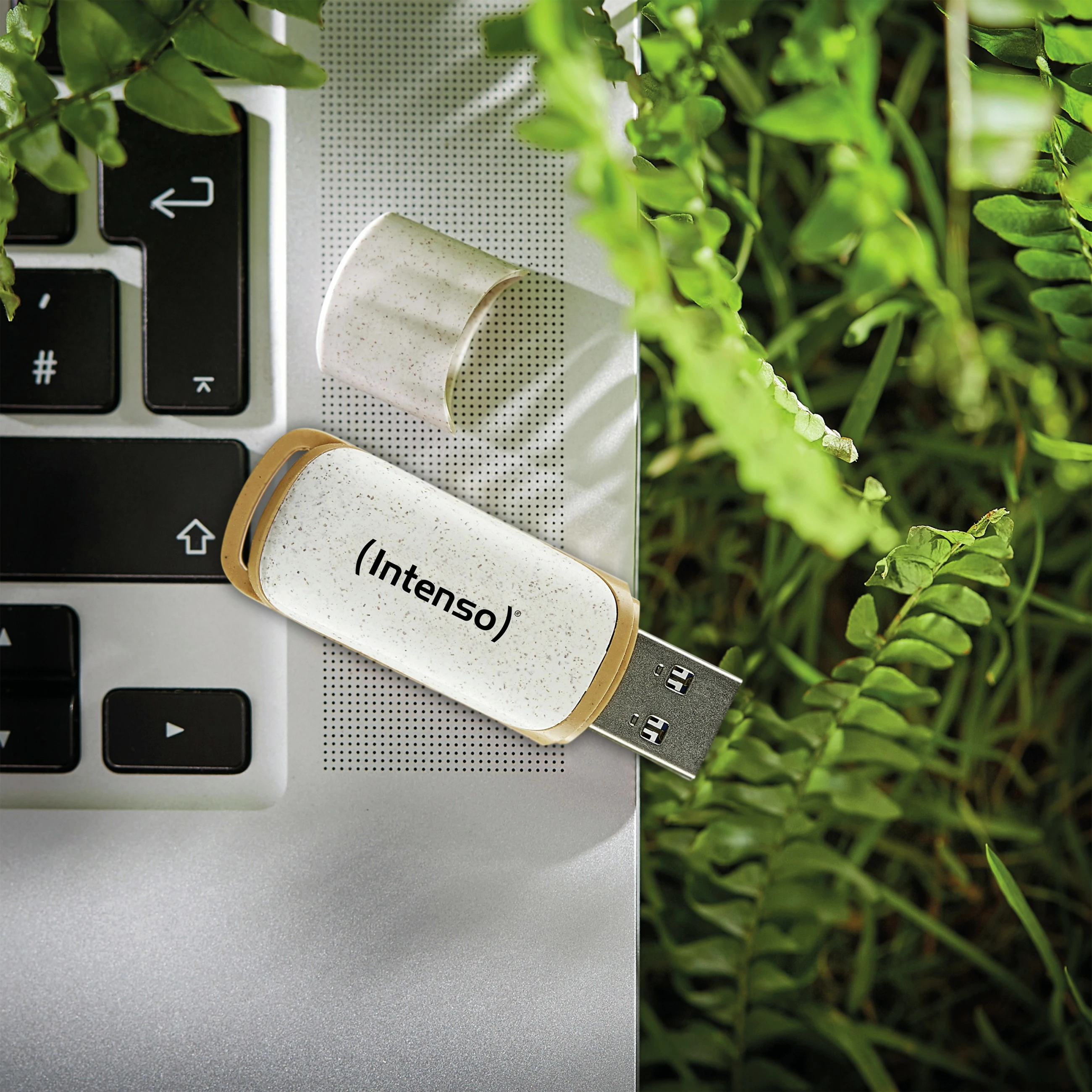 USB ključ Intenso Green Line 128 GB, USB-A 3.2 Gen 1, bež/rjav