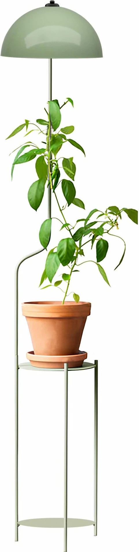 Stojalna svetilka mint, Opviq 241312