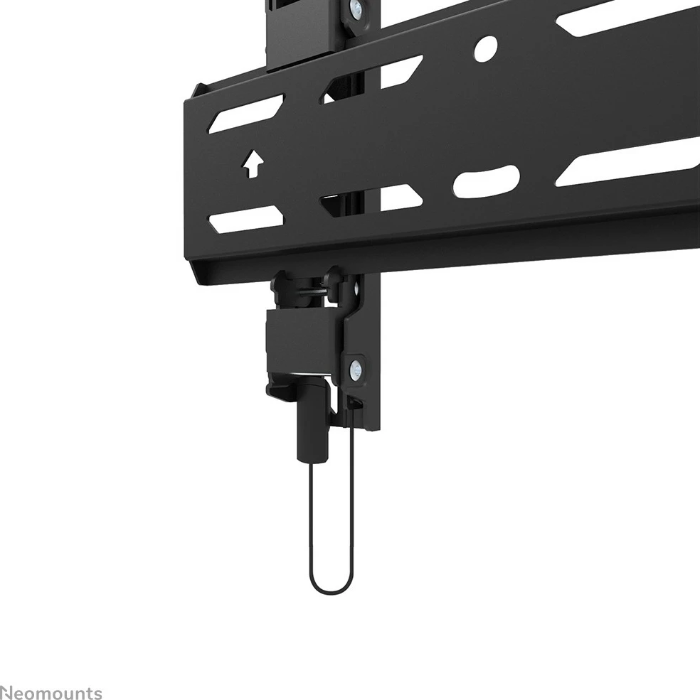 Stenski nosilec za TV, Newstar WL30S-850BL12, fiksni, 24–65 inch, jeklo, črn