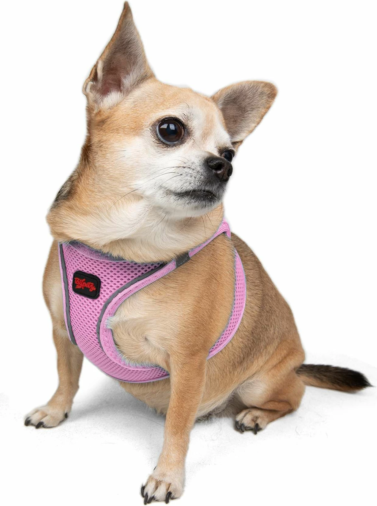 Oprsnik za psa, lilasto, Air-Mesh - Paws & Whiskers