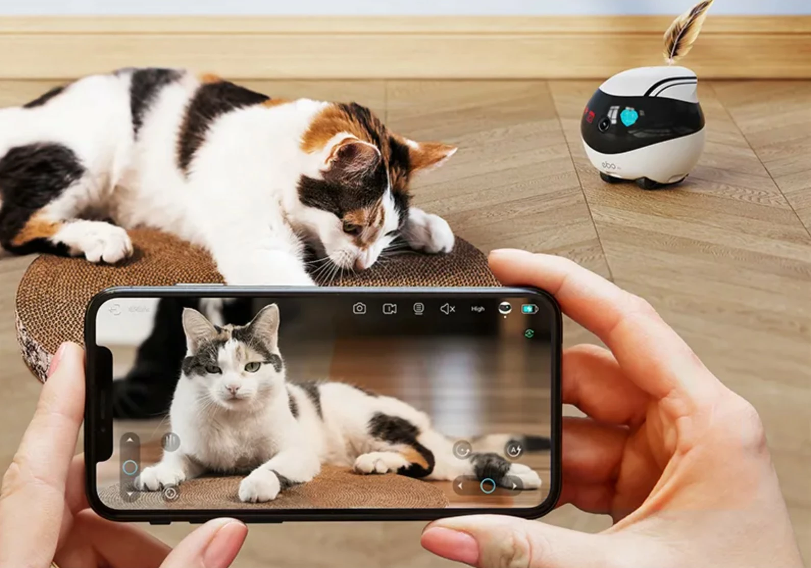 Robot za hišne ljubljenčke Enabot EBO Air, kamera 1080p, sledenje z AI, LiDAR, upravljanje z aplikacijo, bel