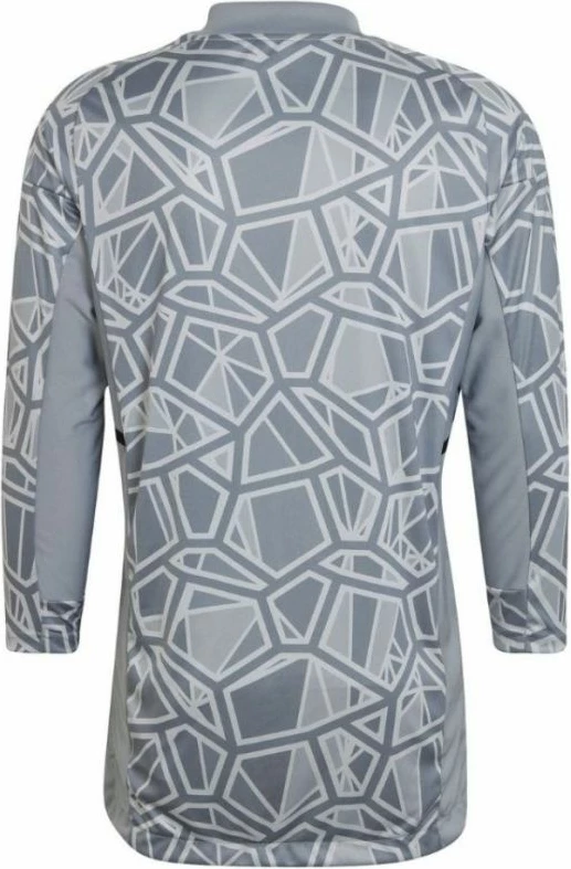 Dres za vratarje Condivo 22, dolgi rokavi, moški, siv, Adidas HB1614