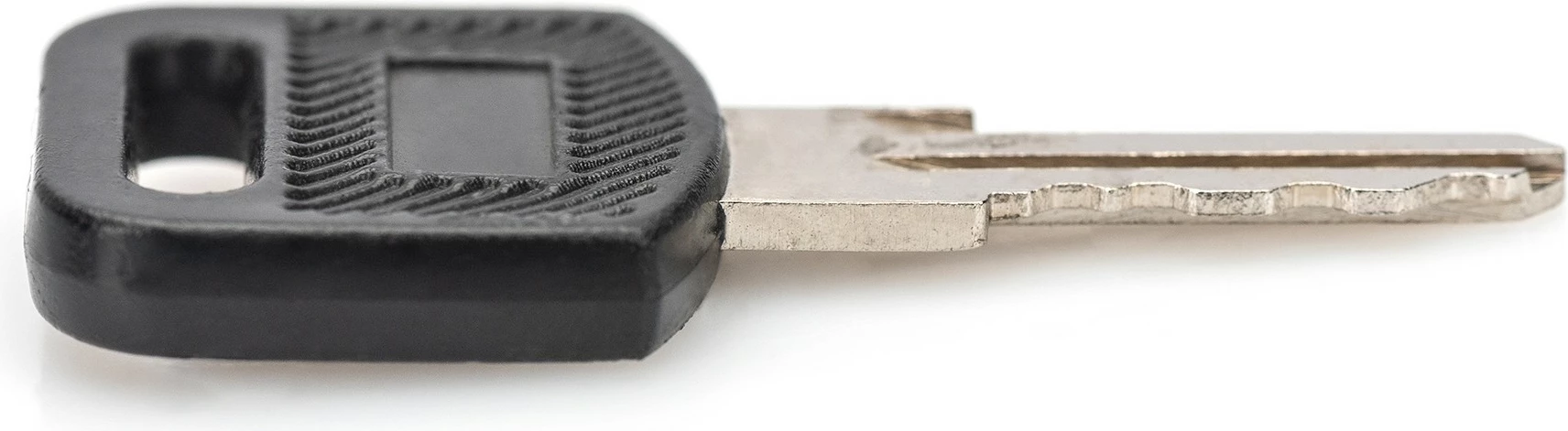 Ključi za omaro za omrežno opremo Digitus DN-KEY-WM, 2 kosa, črno/srebrno