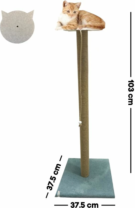 Praskalna deska za mačke Axel, turkizna