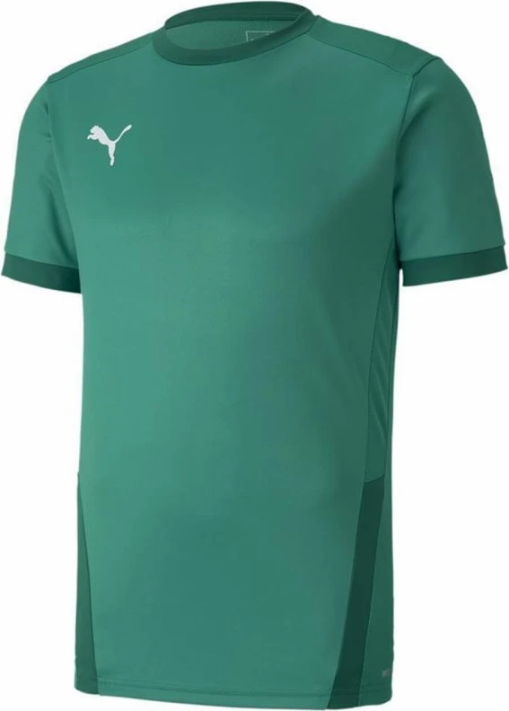 Dres za moške teamGOAL 23, Puma, zelen