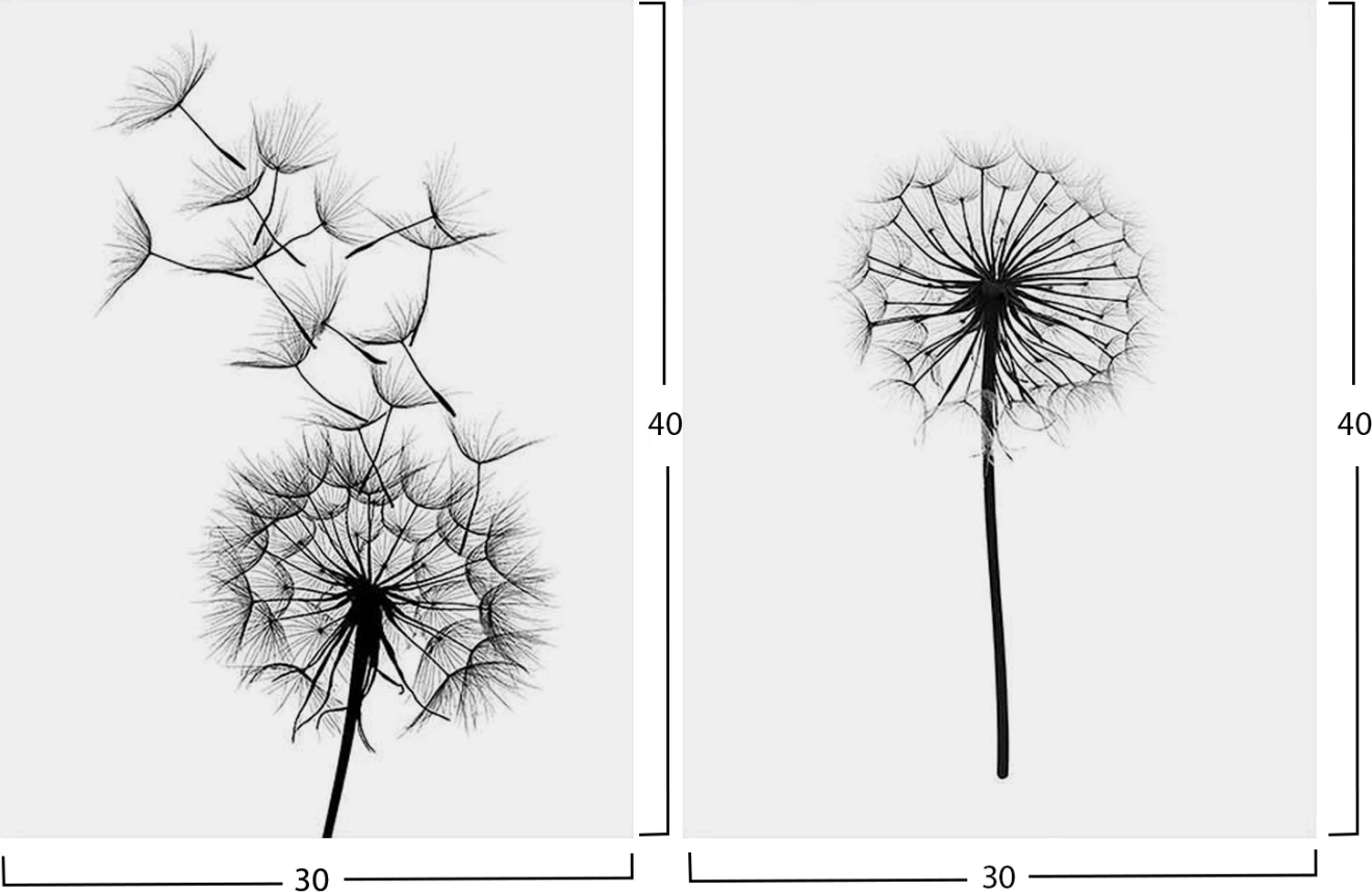2-delni dekorativni MDF set z motivom regrata FH7203.02, 60x40x2,7 cm