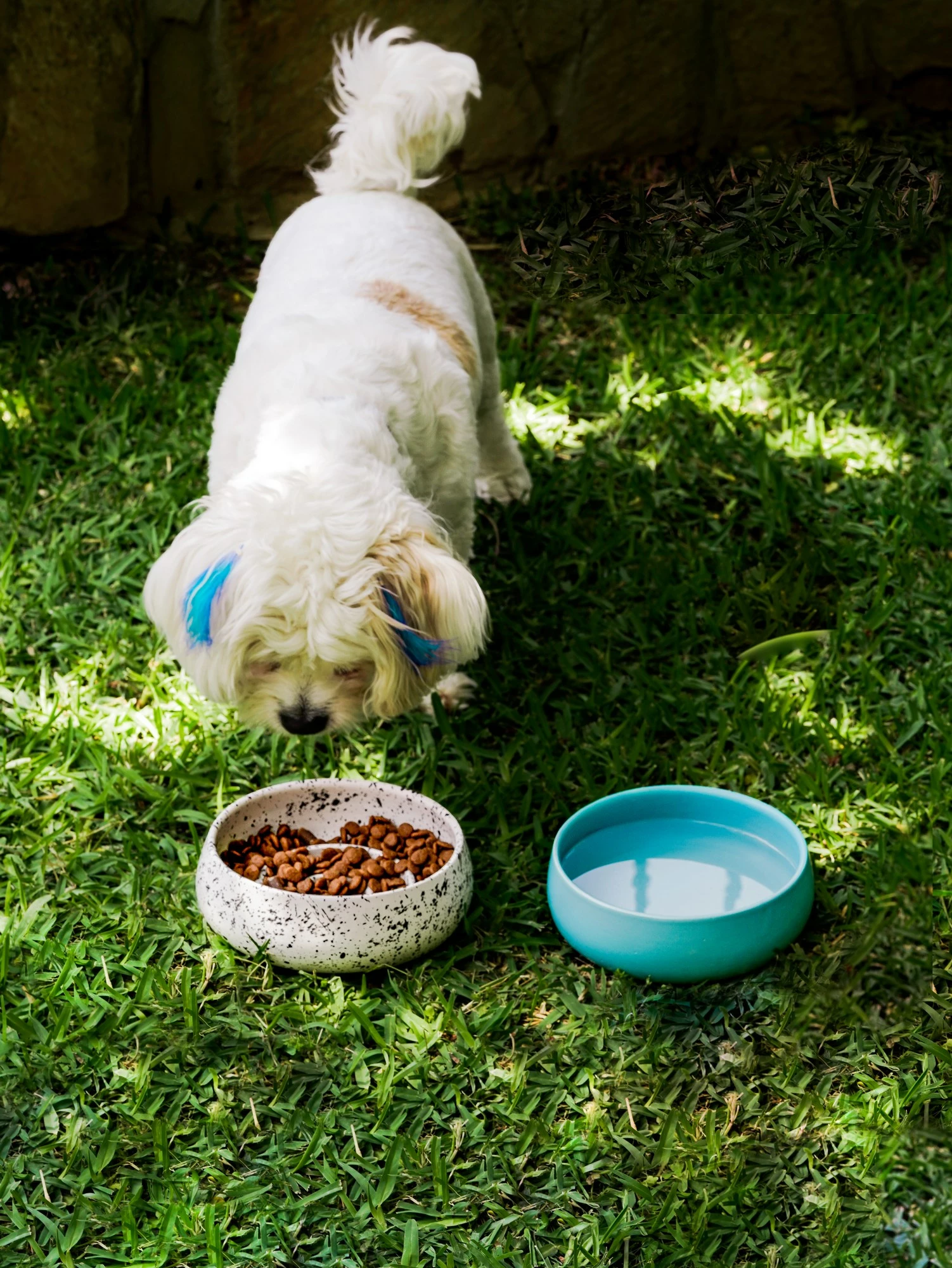 Posoda za hrano iz keramike, večbarvna, Evila Originals, BSPT030, 16x6 cm