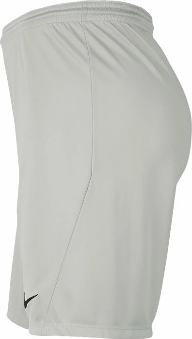 Šorce za moške Nike Dry Park III, sive