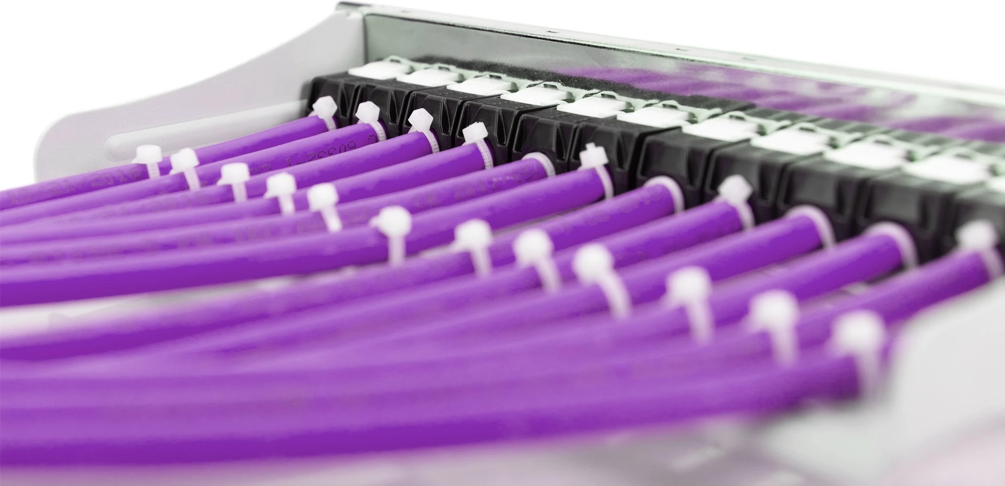 Profesionalen omrežni kabel Cat6 F/UTP 305 m, vijoličen Digitus