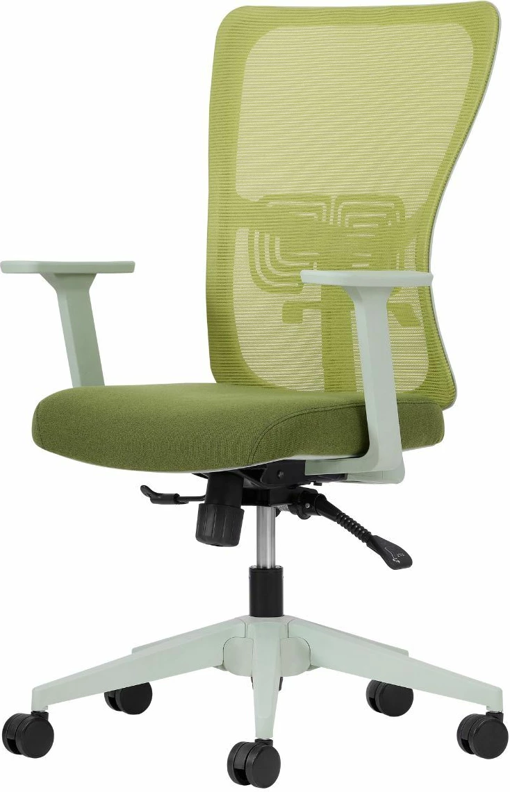 Set pisarniških stolov (2 kosa), opora za ledveni del, 108 cm, zelen, Skye Decor