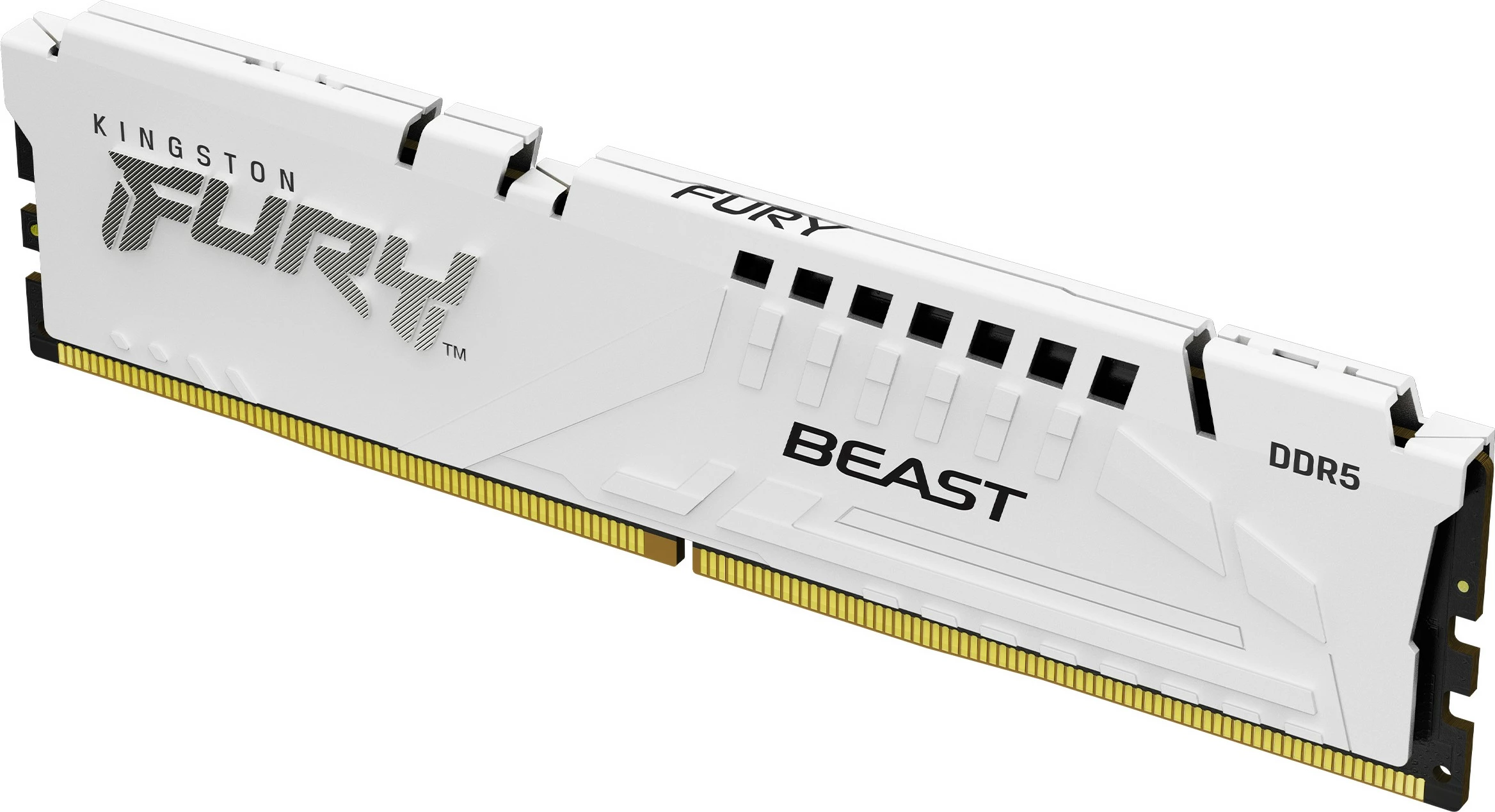 RAM pomnilnik FURY Beast 32GB (2x16GB) DDR5 6000MT/s CL36, Kingston, bel