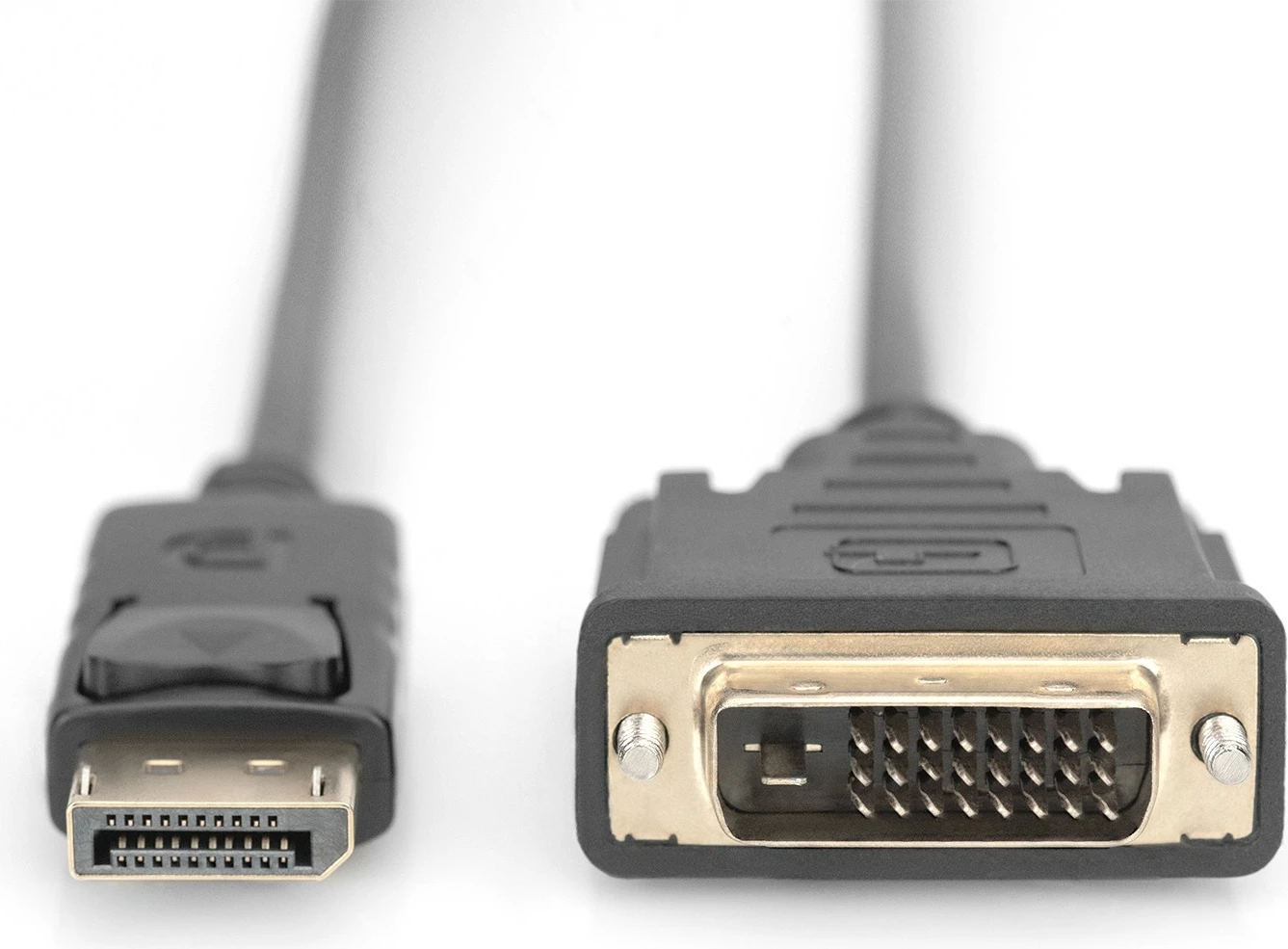 Adapter kabel DisplayPort na DVI-D, 2 m, črn — Digitus