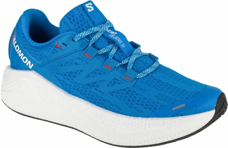 Superge za moške Salomon, modre