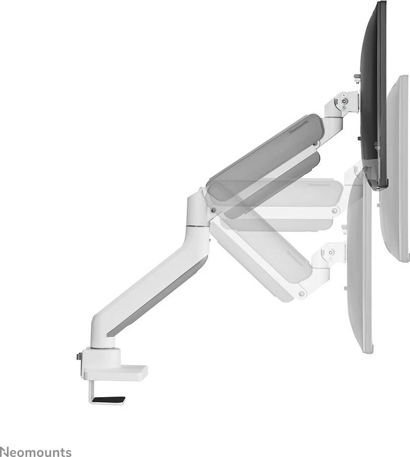 Nosilec za monitor Neomounts DS70-450WH1, plinski vzmet, Topfix, 17–42 in, 15 kg, bel