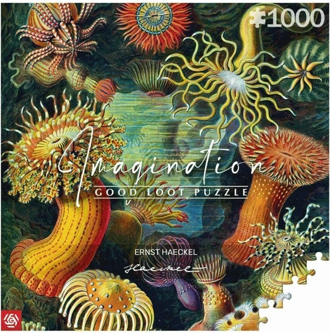 Sestavljanka 1000 kosov, večbarvna, Cenega Publishing Imagination