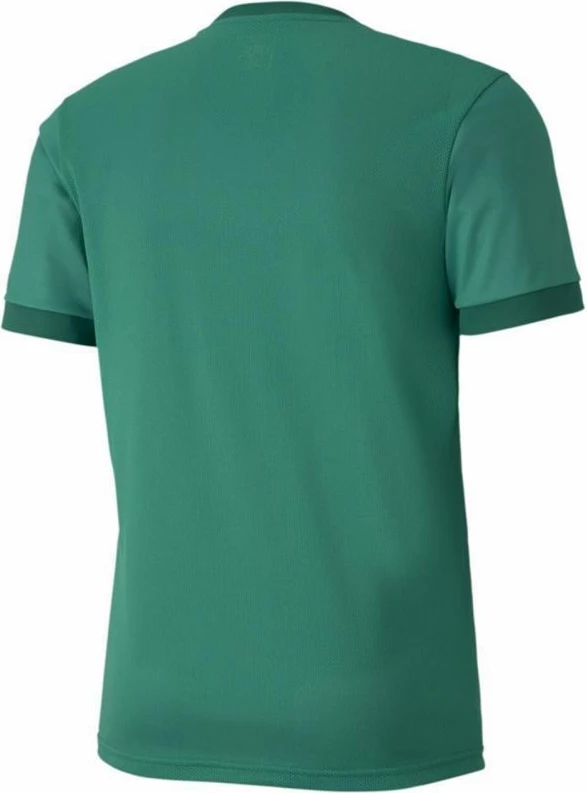 Dres za moške teamGOAL 23, Puma, zelen