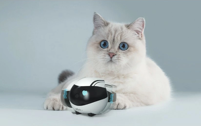 Robot za hišne ljubljenčke Enabot EBO Air, kamera 1080p, sledenje z AI, LiDAR, upravljanje z aplikacijo, bel