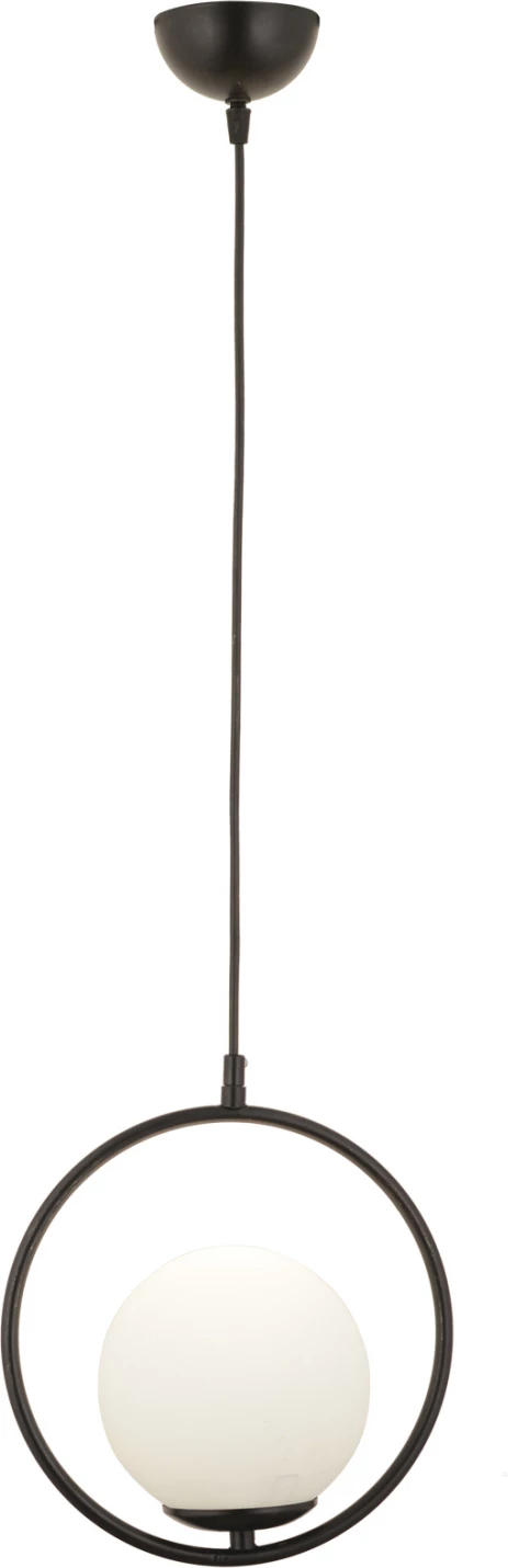 Kovinska stropna svetilka črne barve FH7418.01 25x74 cm