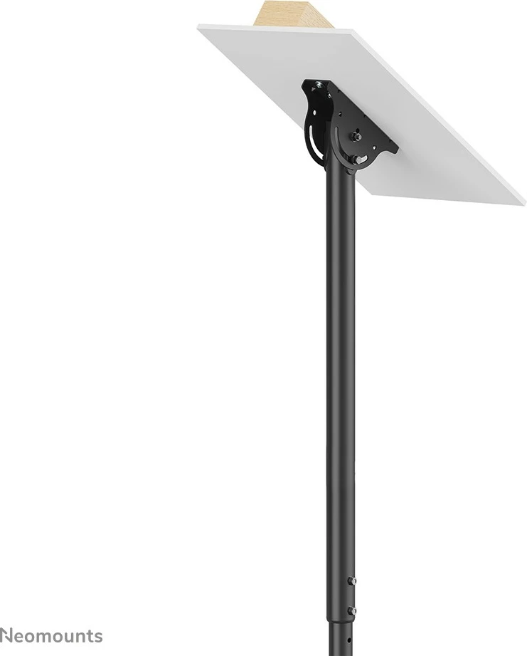 Stropni nosilec za monitor/TV Neomounts CL35-340BL12, 23–42 palcev, nastavljiva višina, črn