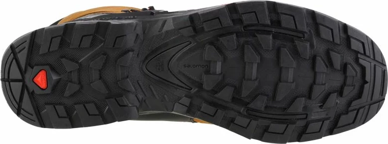 Treking čevlji Salomon Quest 4 GTX, moški, rjavi
