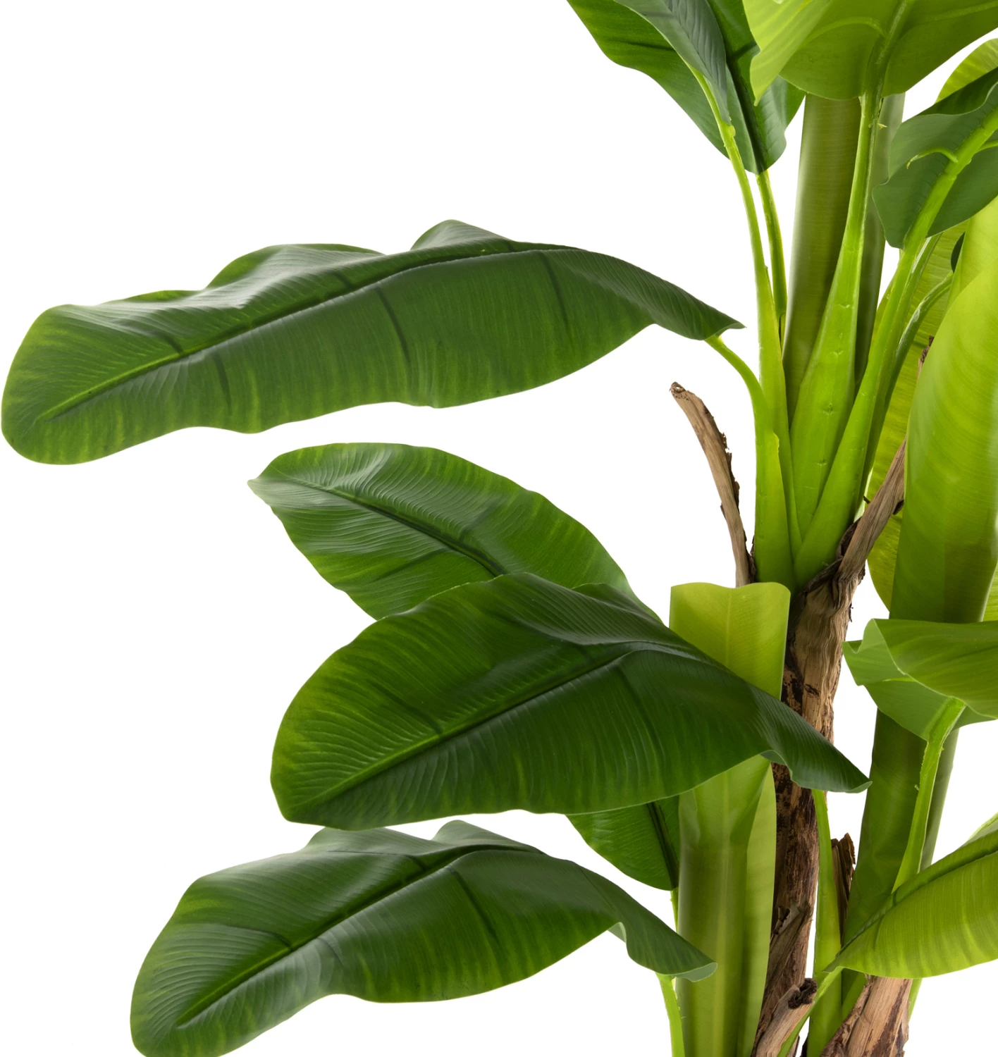 Dekorativna sintetična rastlina FH7977 banana drevo v loncu 150H cm