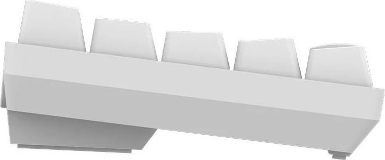 Mehanska tipkovnica RGB brezžična in z žico Aqirys Mira, bela