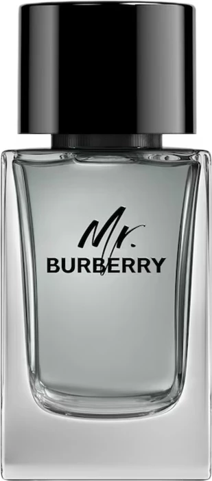 Toaletna voda za moške Burberry Mr. Burberry, 100 ml