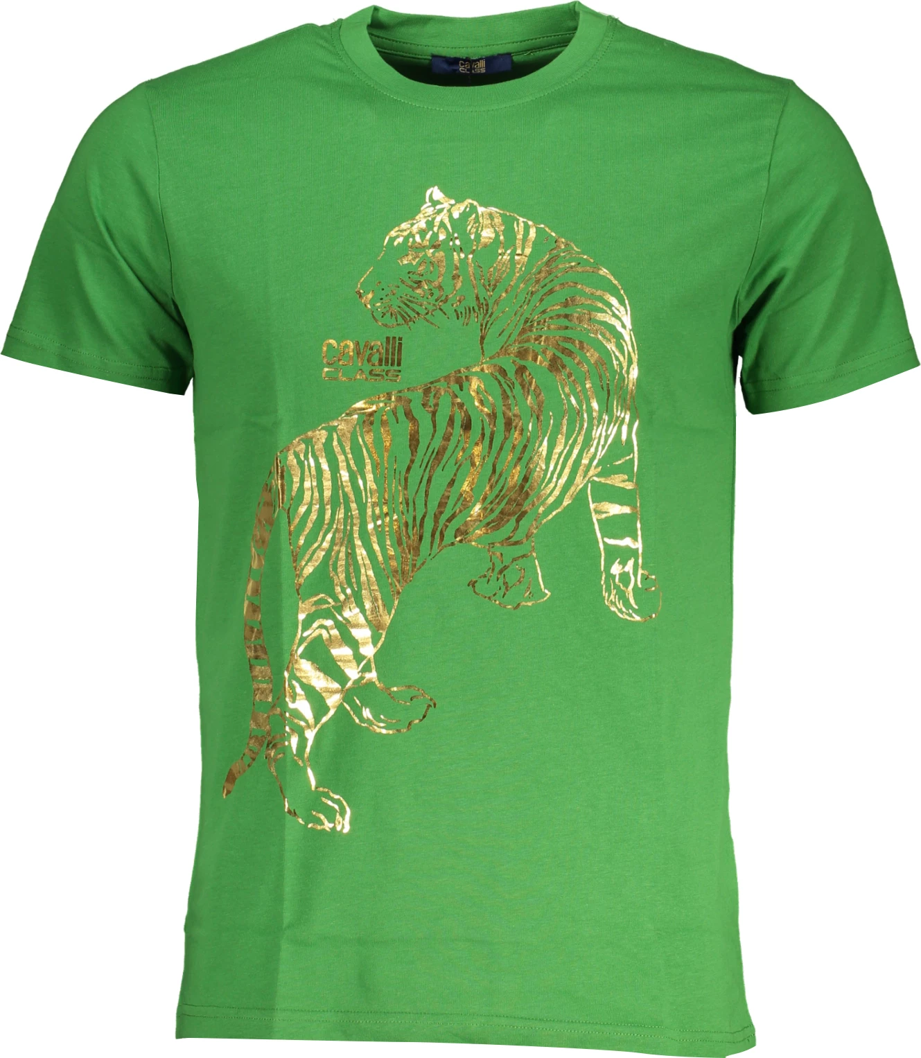 Majica za moške, CAVALLI CLASS, zelena