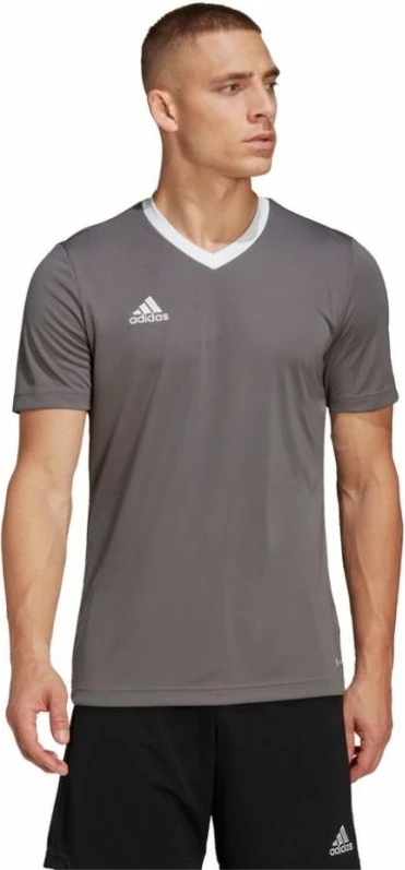 Majica za moške, adidas Entrada 22 Jersey HE1574, siva