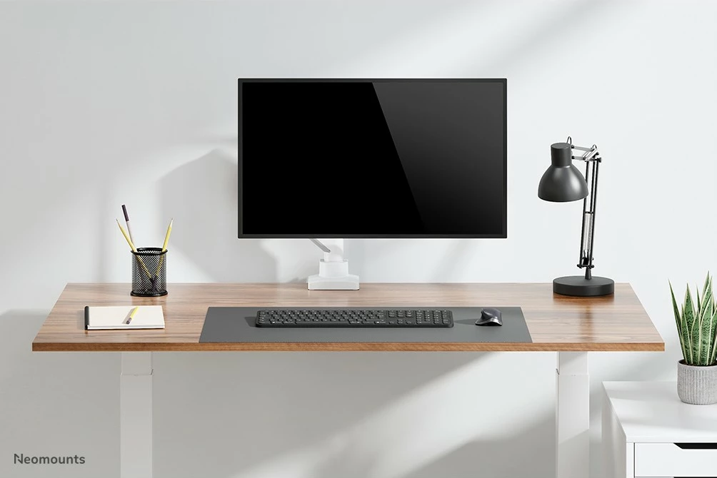Nosilec za monitor Neomounts DS70-450WH1, plinski vzmet, Topfix, 17–42 in, 15 kg, bel