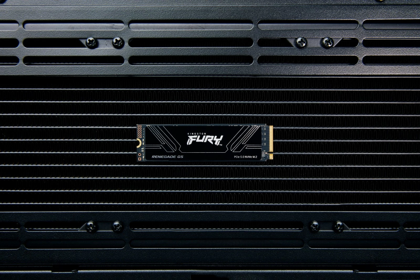 Notranji SSD Kingston FURY Renegade G5, 4TB, M.2 2280, PCIe 5.0 NVMe