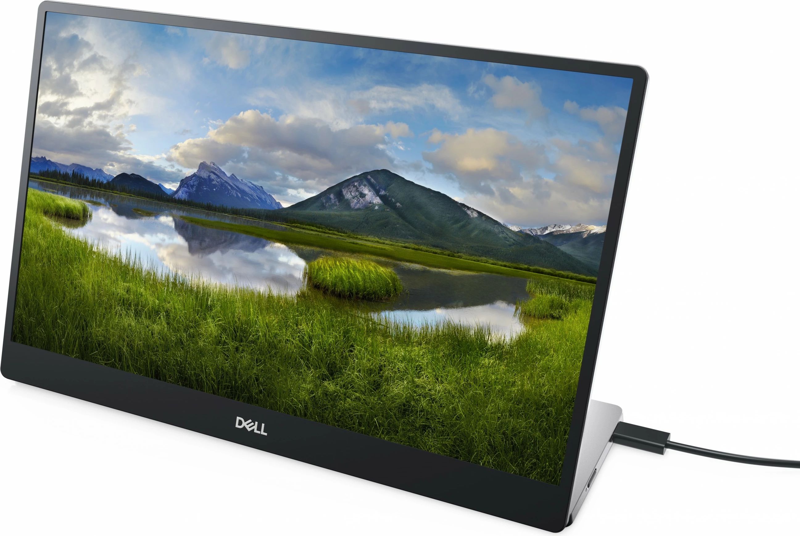 Prenosni 14'' FHD IPS zaslon, Dell P1424H, črn