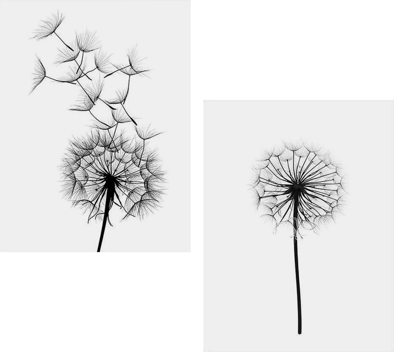 2-delni dekorativni MDF set z motivom regrata FH7203.02, 60x40x2,7 cm