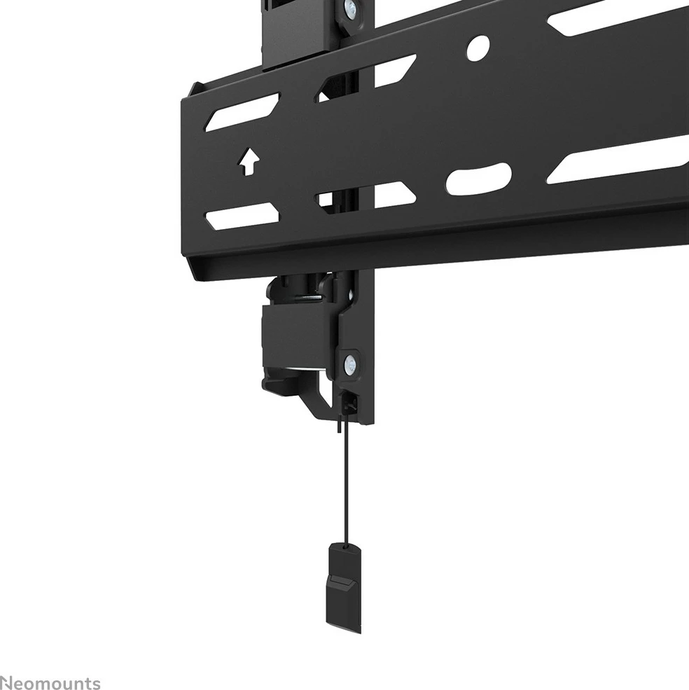 Stenski nosilec za TV, Newstar WL30S-850BL12, fiksni, 24–65 inch, jeklo, črn