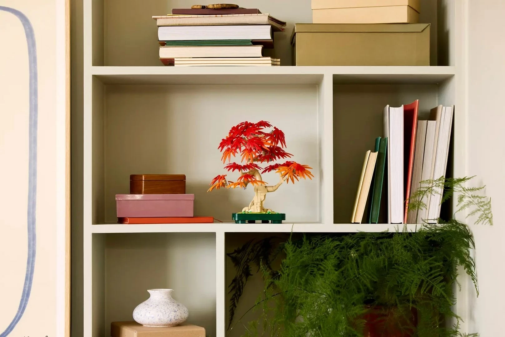 Dekorativni set japonski rdeči javor bonsaj 10348, za odrasle, 220 mm, rdeče/oranžen