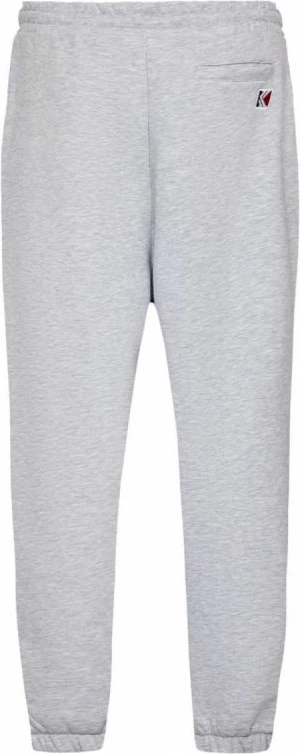 Športne hlače za moške Karl Kani, sive
