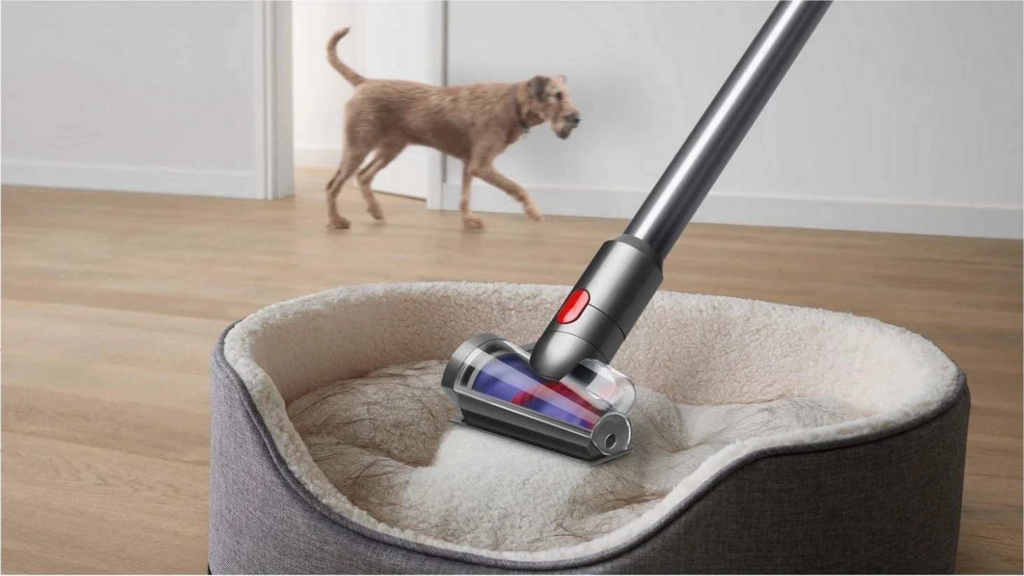 Brezvrečasta navpična sesalnik, Dyson V8 Absolute, rumen