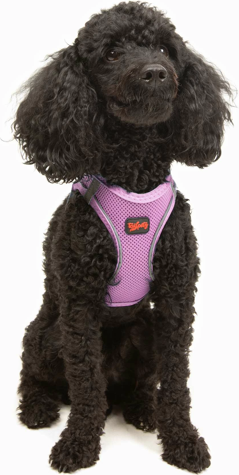 Oprsnik za psa, lilasto, Air-Mesh - Paws & Whiskers
