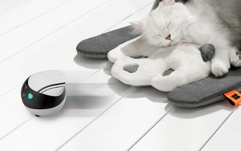 Robot za hišne ljubljenčke Enabot EBO Air, kamera 1080p, sledenje z AI, LiDAR, upravljanje z aplikacijo, bel