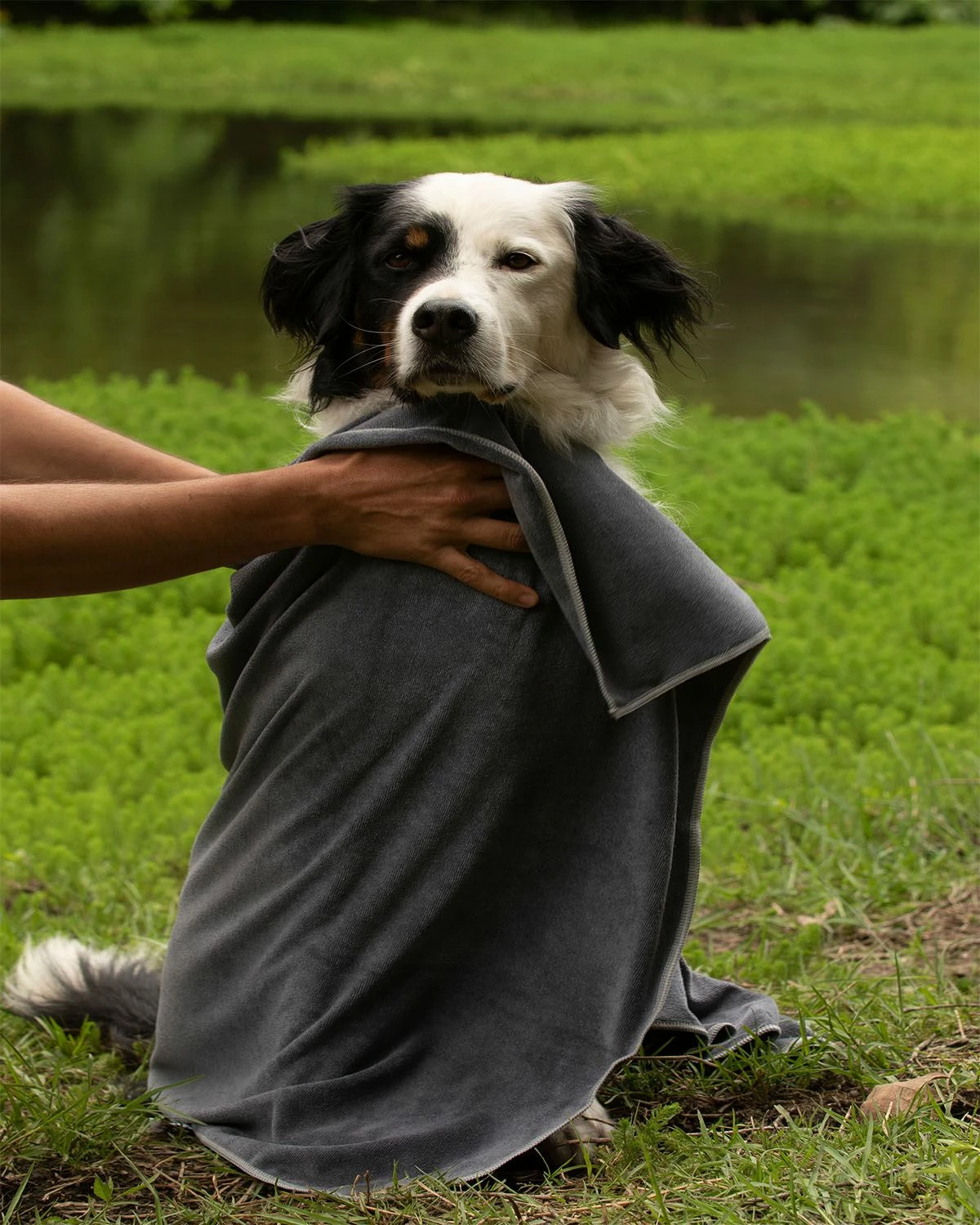 Brisača za pse, 60 x 90 cm, siva, Paws & Whiskers Mictow 60